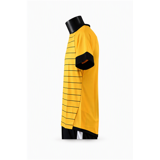 Sachsen Energie Striped Trikot Unisex