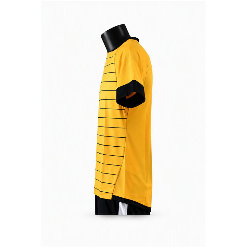 Sachsen Energie Striped Trikot Unisex